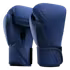 Hayabusa T360 Boxing Gloves