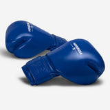 Hayabusa Pro Boxing Gloves