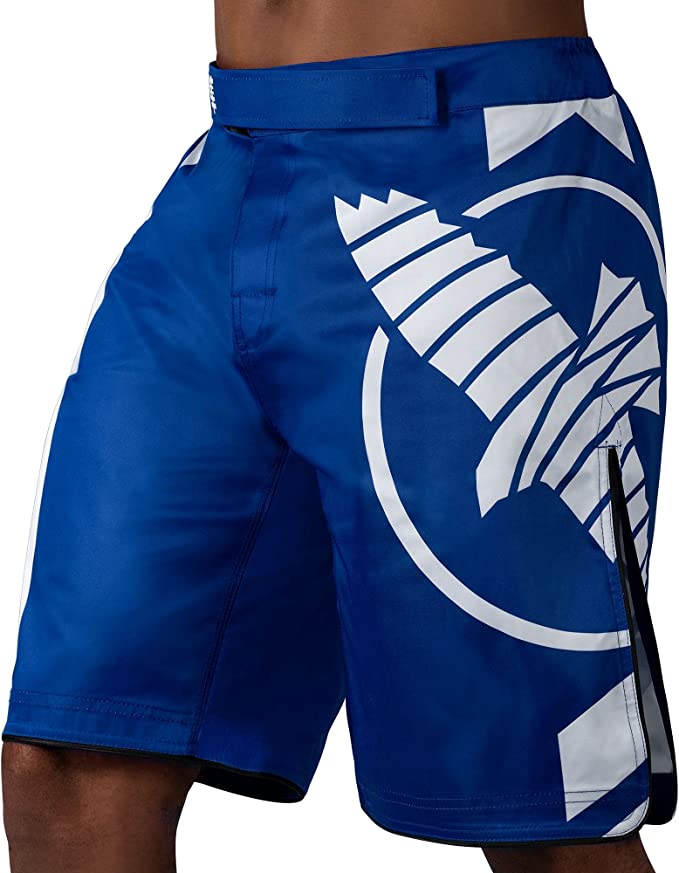 Hayabusa Icon Fight Shorts - OTM Fight ShopHayabusa