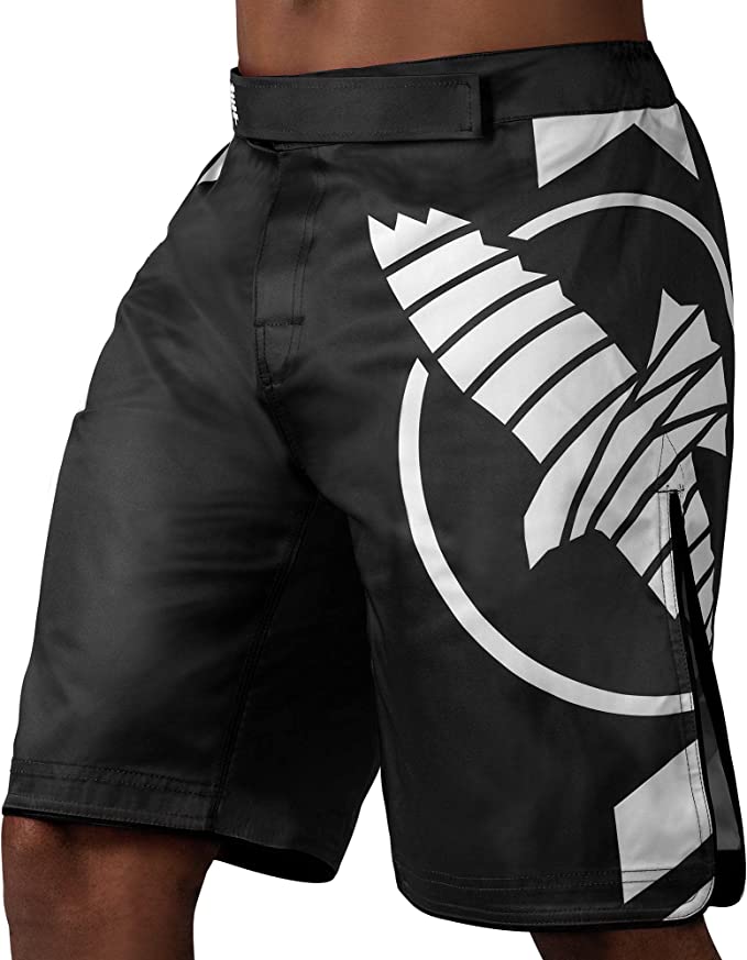 Hayabusa Icon Fight Shorts - OTM Fight ShopHayabusa
