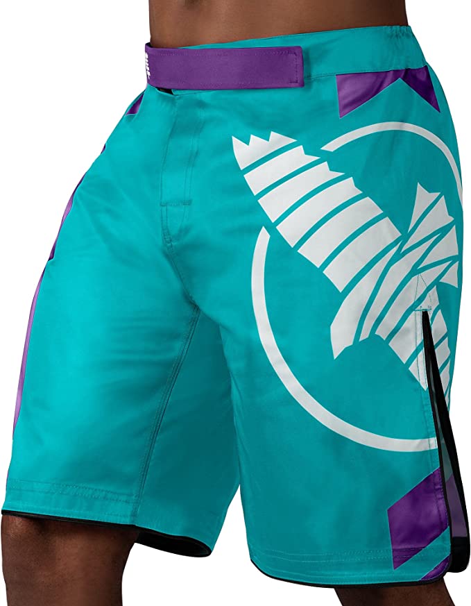 Hayabusa Icon Fight Shorts - OTM Fight ShopHayabusa