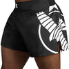Hayabusa Icon Kickboxing Shorts - OTM Fight ShopHayabusa