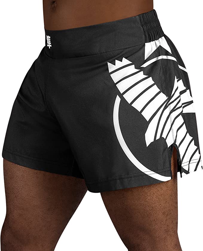 Hayabusa Icon Kickboxing Shorts - OTM Fight ShopHayabusa