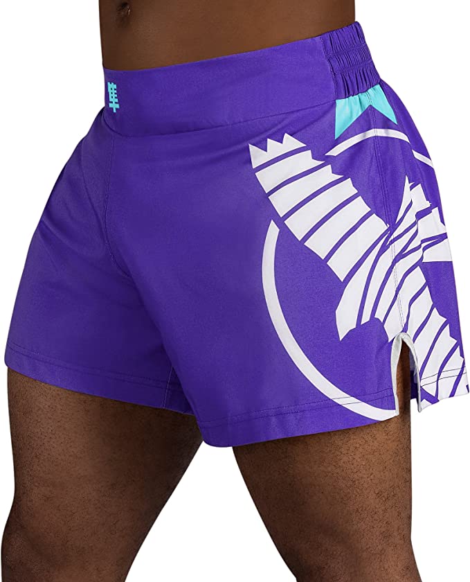 Hayabusa Icon Kickboxing Shorts - OTM Fight ShopHayabusa