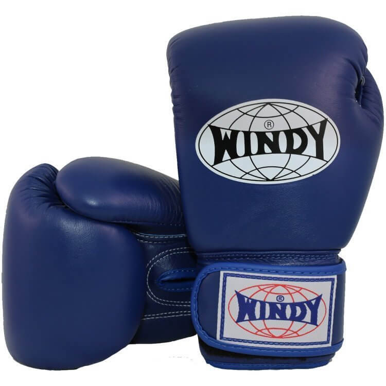 Windy [BGVH] Muay Thai Gloves - OTM Fight ShopWindy