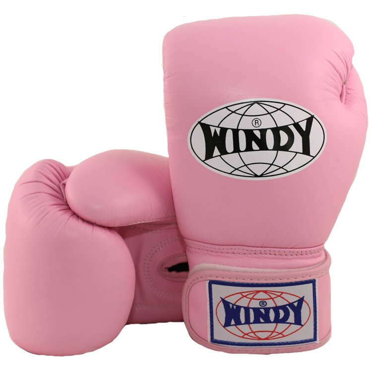 Windy [BGVH] Muay Thai Gloves - OTM Fight ShopWindy